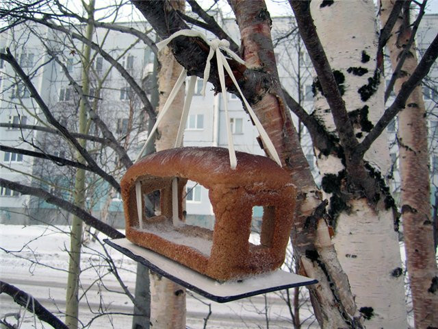 Прикол своими руками кормушка для птиц