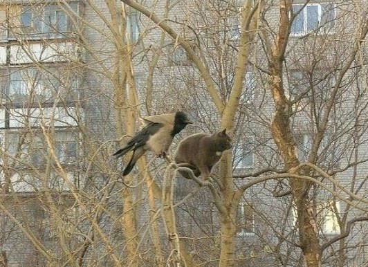 Хорошо сидим ...