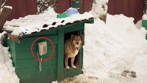 Ты звони , если что ...