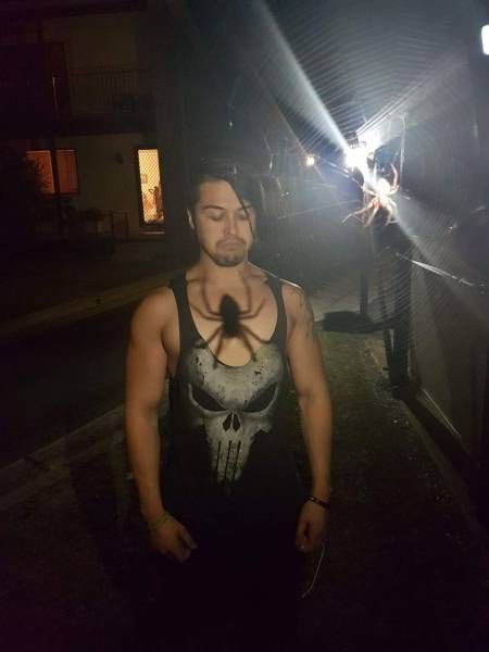 Неожиданное совмещение 