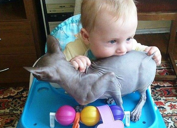 Ты не ты, когда голоден