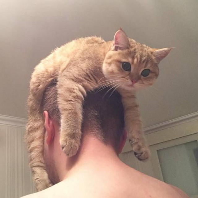 Медленный переход от сна к бодрствованию 