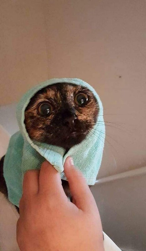 Лучше давай завтракать !