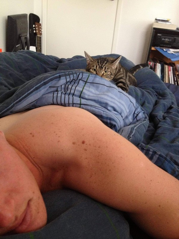 Сколько же можно дрыхнуть ?!