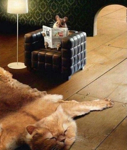 Коврик для мышки 