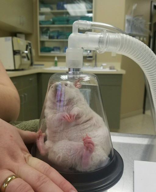 Подкачка кислородом 