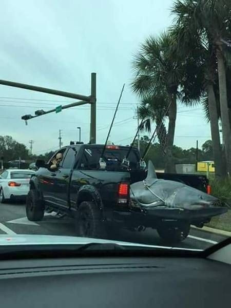 Удачная рыбалка 