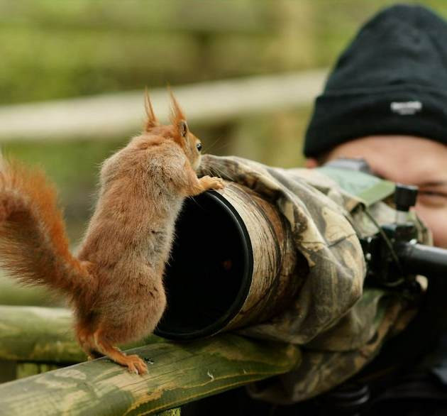 Не бойся , я с добрыми намерениями 