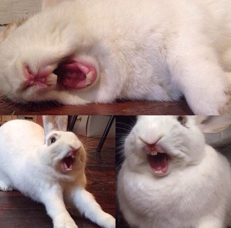 А ведь они такие добрые ....