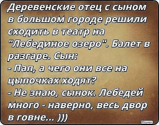 Папино понимание балета 