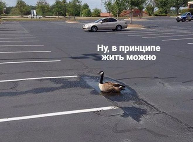 Съехал от родителей 