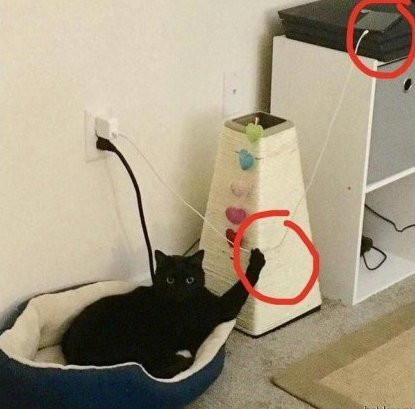 Ты думаешь я шучу !?