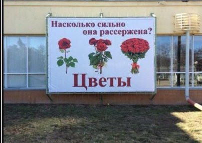 Всё познаётся в сравнении 