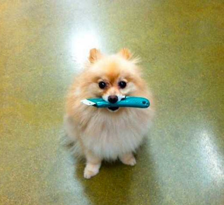 И тут я начал что-то подозревать ...