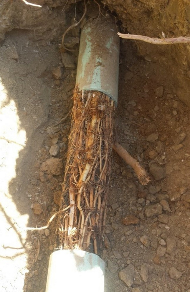 Кажется , мы нашли проблему ...