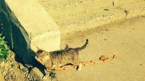 Когда день удался ...