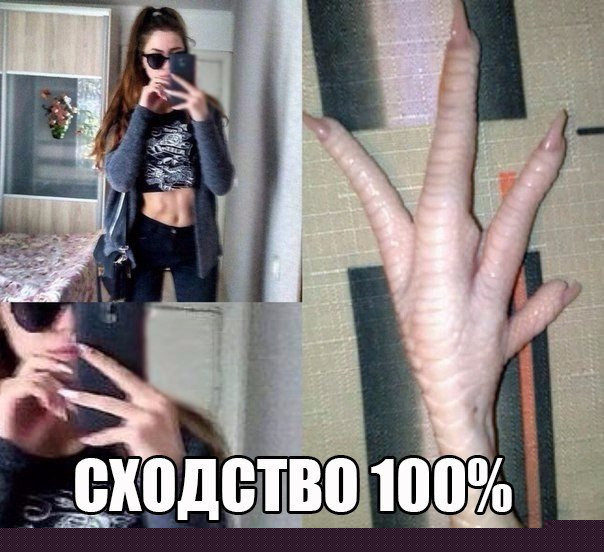 А ведь и правда 