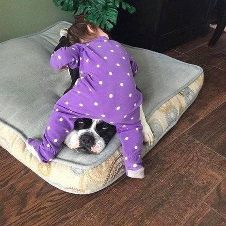 Завидное терпение 