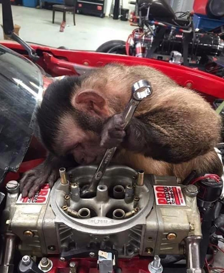 Приехал в сервиз 