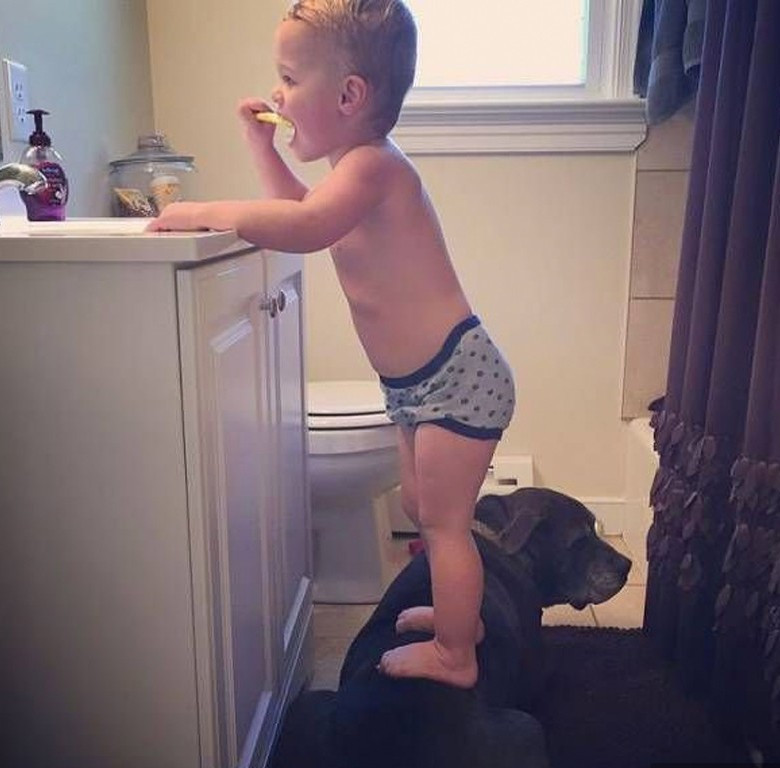 Лучший друг всегда рядом 