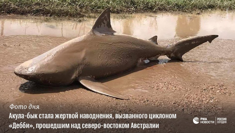 Жертва наводнения 