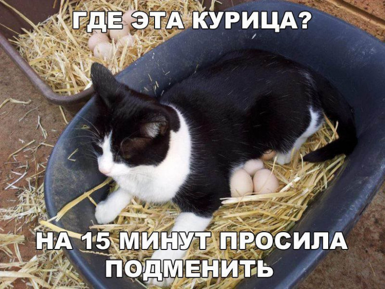 Согласилась на свою голову