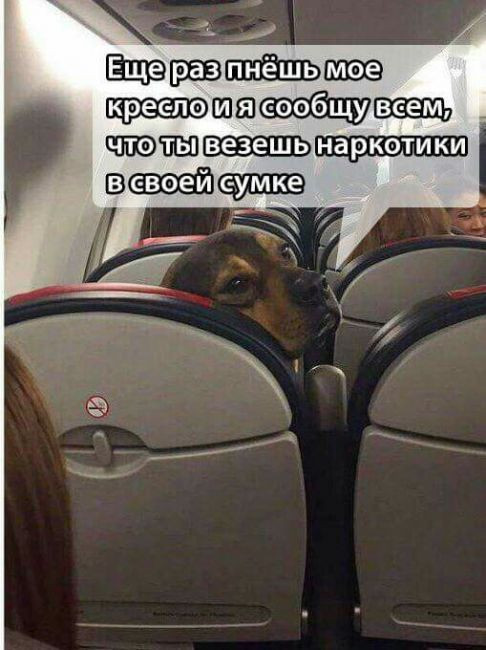 Ищейка ...