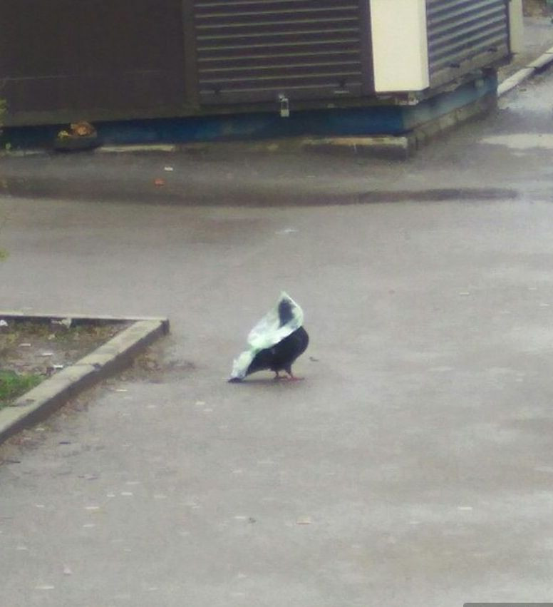 Весна.Дожди.