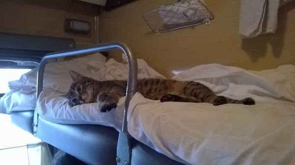 Однажды в плацкарте