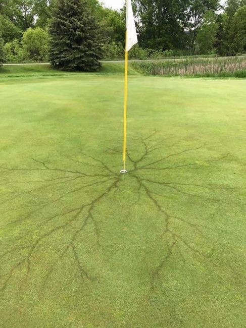 След от удара молнии 