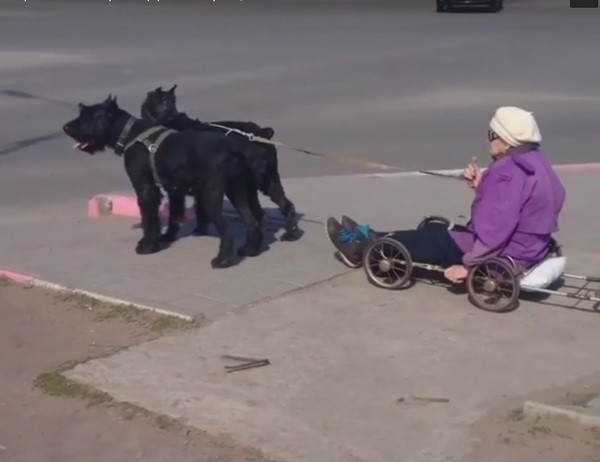 Отлично придумано !