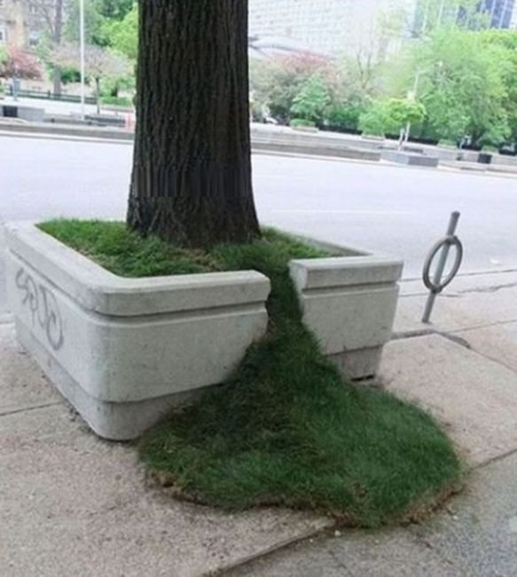 Газон прохудился 