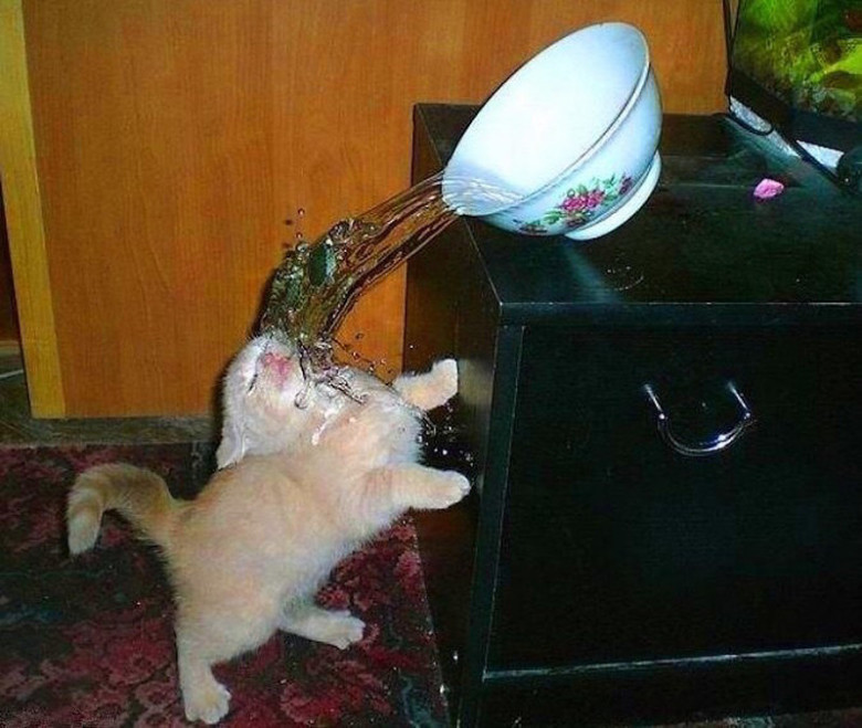 Попил водички
