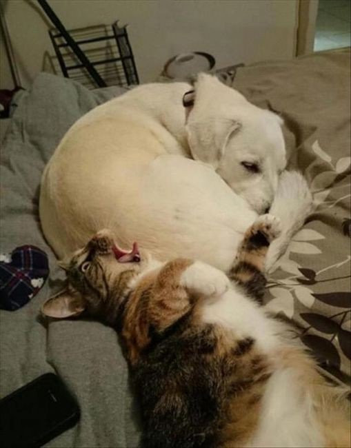 Ну подумаешь – пукнул... Зачем из этого сразу трагедию делать?