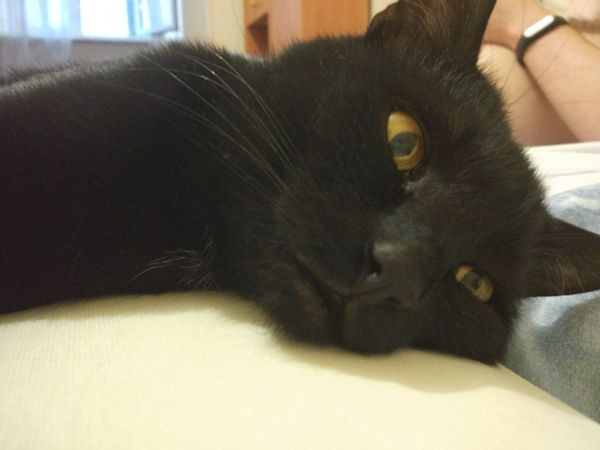 Когда уснул и вспомнил что-то важное 