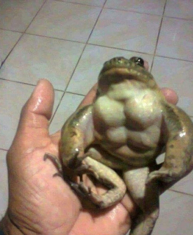 Подкачался к Лету 