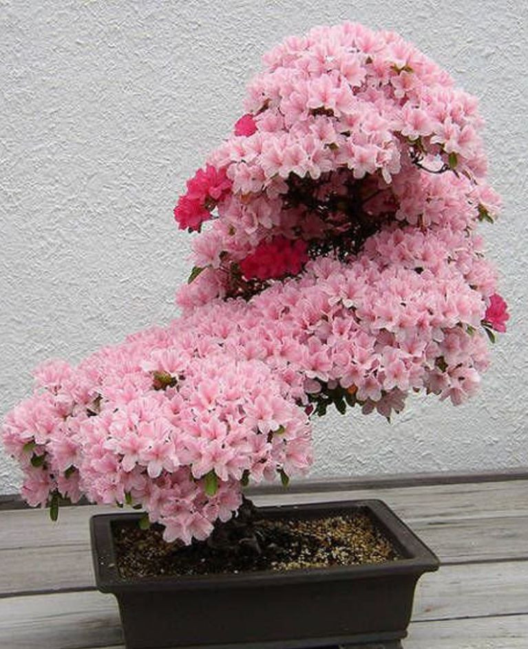 Когда размер не имеет значения 