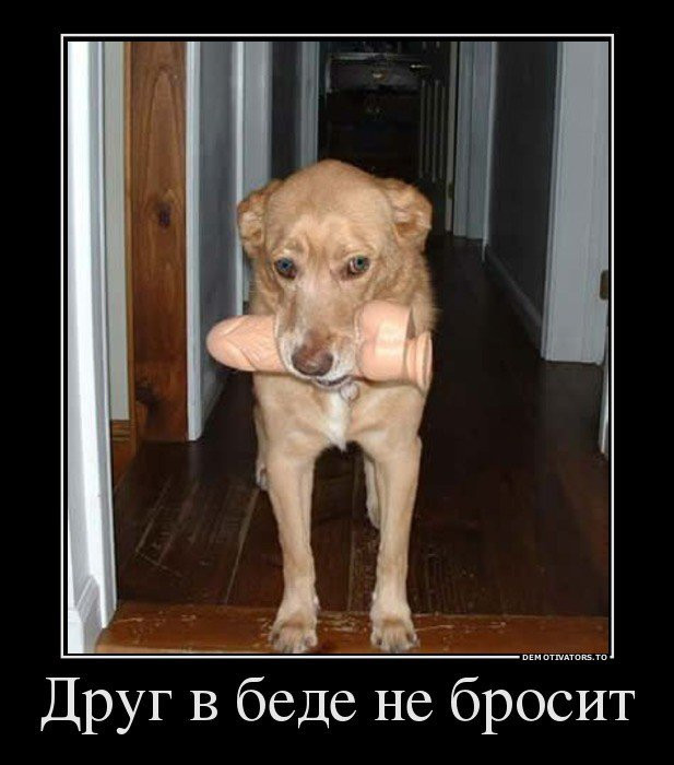 Вот что значит настоящий и стоящий друг!