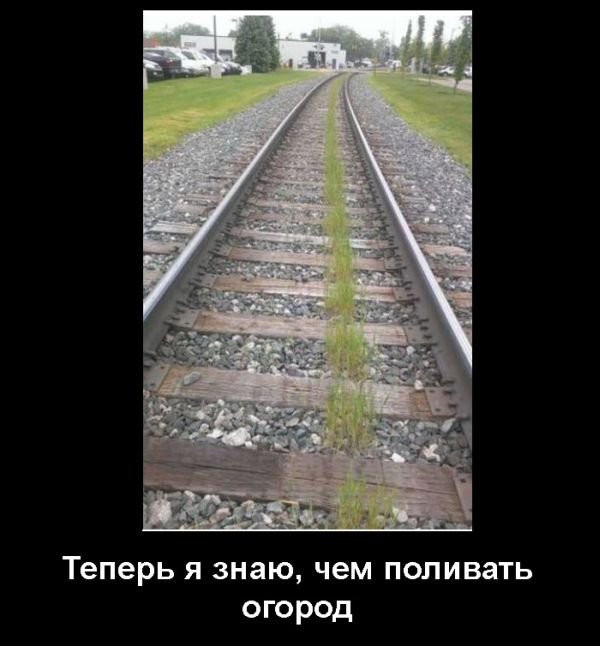 Раскрыт секрет хорошего урожая