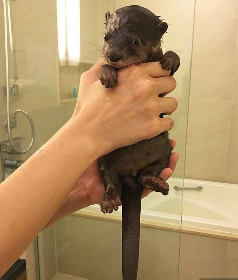 Мокрая выдрочка 