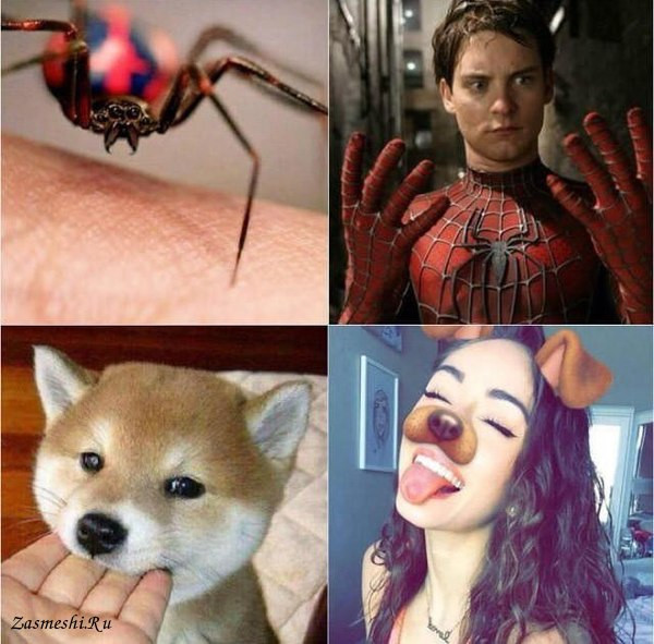 Теперь всё ясно