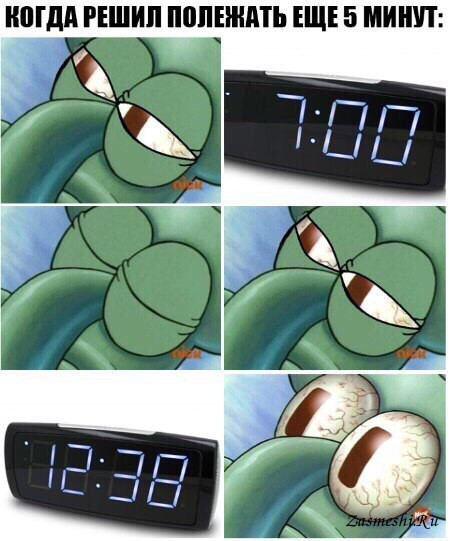 Когда решил полежать ещё 5 минуточек