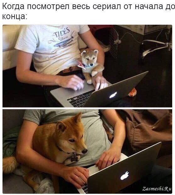 Санта-Барбара: все только начинается