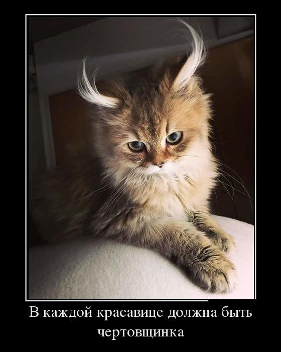 Обойтись без чертенка не получается