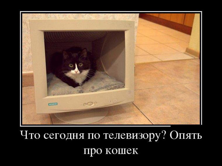 Робинзон КОТТУЗО