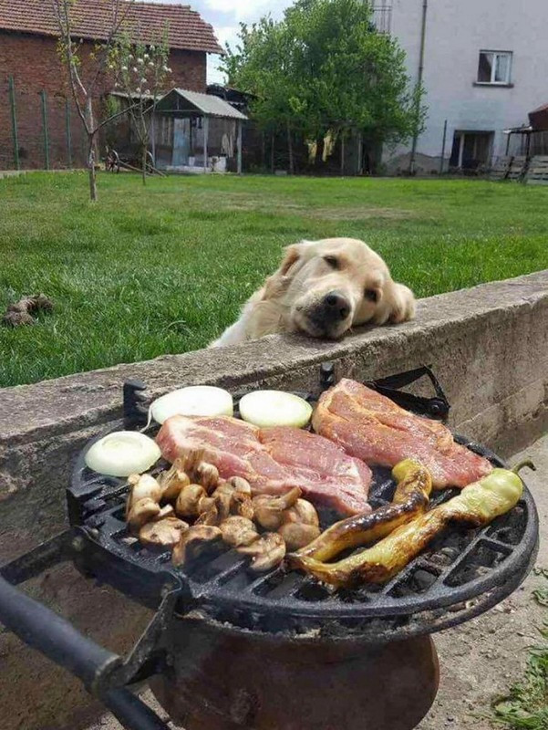 Хотя бы понюхаю ...