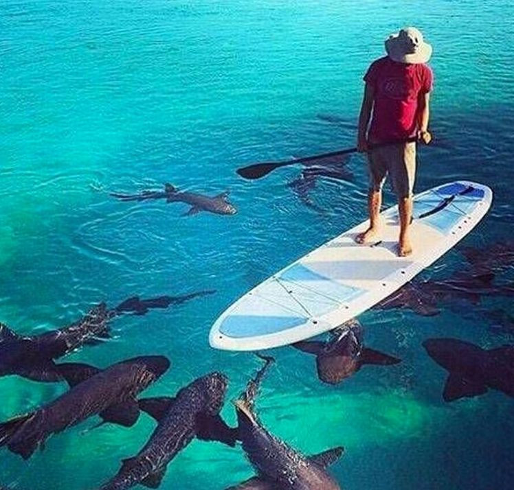 В ожидании обеда 