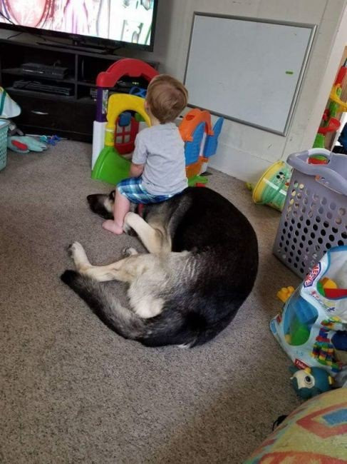 Вот что значит - МНОГОТЕРПЕНИЕ !