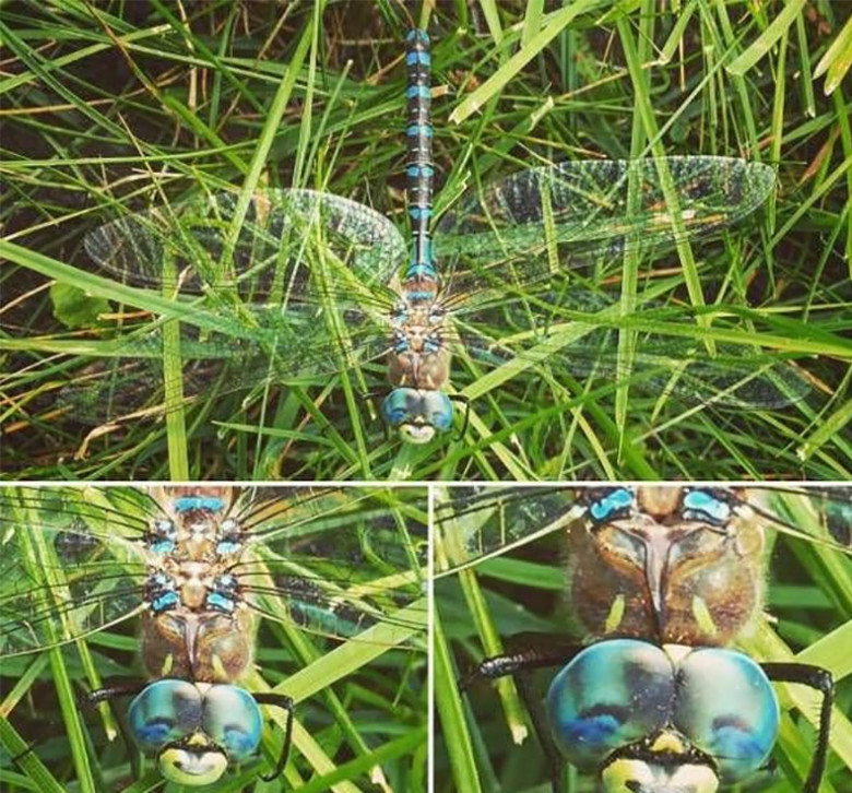 Неподдельное счастье 