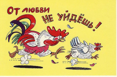 Анекдоты про петуха (в честь года петуха)